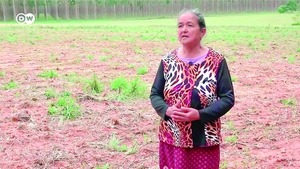 Plan Verde de Apple Pone en Riesgo a Comunidad