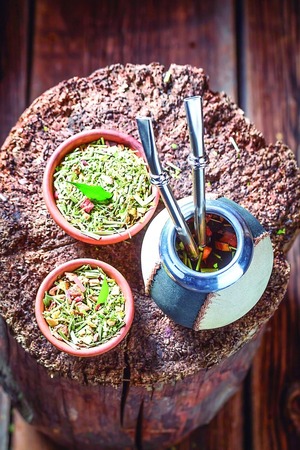 Yerba Mate: 7 Beneficios Comprobados para tu Salud