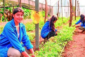 Modelo Paraguayo Convierte Campesinos en Emprendedores