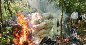 Diario HOY | Concepción: desmantelan estructura de producción de marihuana