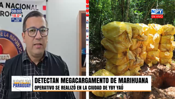Fuerzas conjuntas desmantelan varios campamentos narcos y destruyen 8 toneladas de marihuana en Yby Yaú