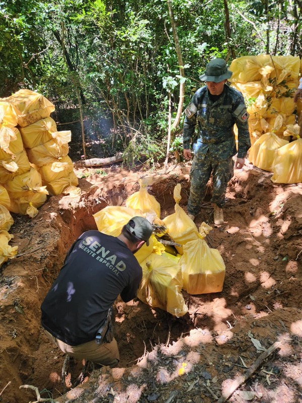 Popular / Desmantelan feroz estructura de producción de macoña en Concepción
