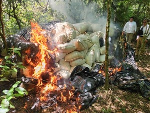 En Yby Yaú desmantelan estructura narco de más de USD 1 millón - ADN Digital