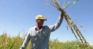 La Nación / Asalariados privados registrados crecieron 7,6 %, pero tasa de informalidad agrícola sigue alta