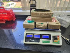 Fiscal asistió a acto jurisdiccional de prueba para destrucción de droga