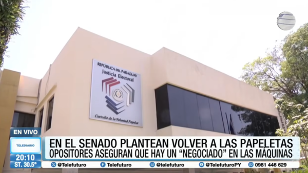 En el Senado plantean volver a las papeletas