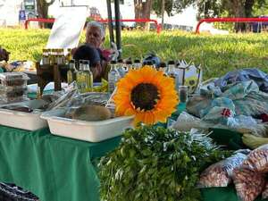 Feria agroecológica: Pastoral Social impulsa proyecto para fortalecer la agricultura familiar en Itapúa - Nacionales - ABC Color