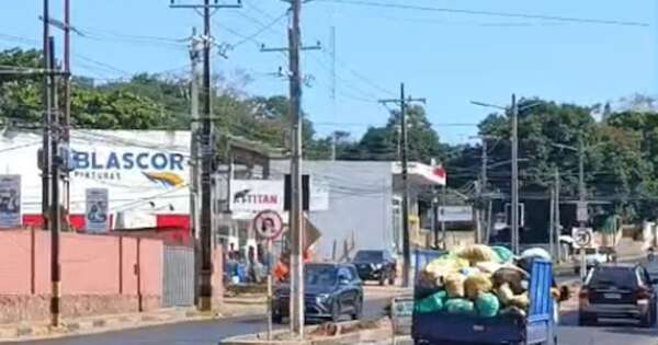 La Nación / Villa Elisa: ediles critican a Estigarribia por tala de árboles y falta de informes sobre iluminación