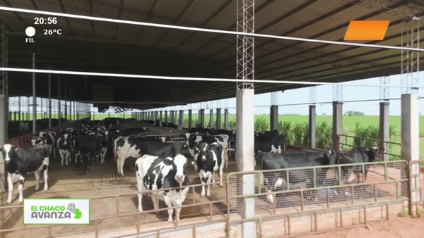 Video: El Chaco Avanza | Tambo Verde