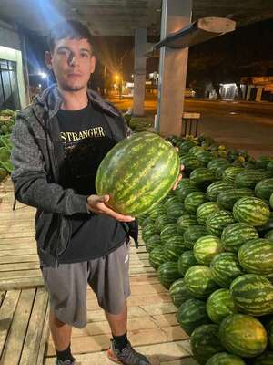 Comerciantes reportan baja venta de sandía - Nacionales - ABC Color