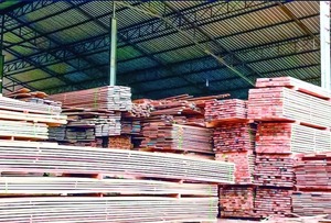 Paraguay Exporta Tableros: Sube Valor Agregado