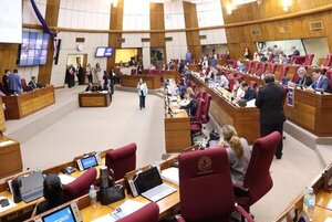 Buscan crear una comisión especial para investigar adjudicaciones del Indert