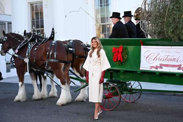 Melania Trump recibió el árbol de Navidad de la Casa Blanca - Gente - ABC Color