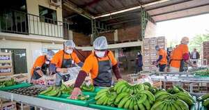 La Nación / Menor oferta de banana: el precio sube y caen las exportaciones