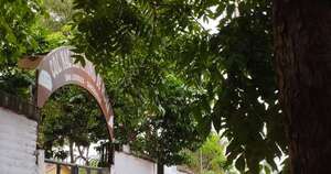 La Nación / MEC recuerda que las inscripciones en instituciones públicas son gratuitas