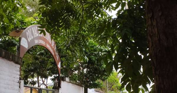 La Nación / MEC recuerda que las inscripciones en instituciones públicas son gratuitas