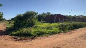 Baldío sucio genera malestar en el barrio Santo Domingo de Guzmán - Concepción al Día