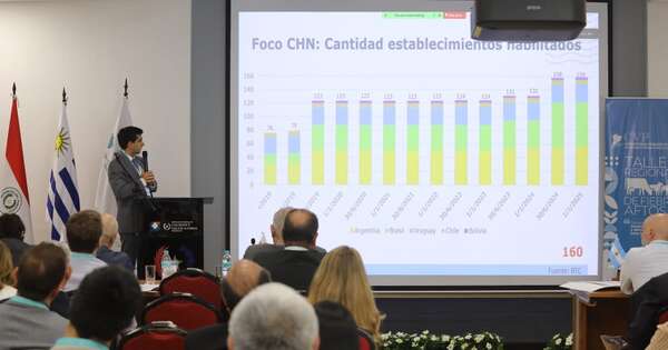 La Nación / Paraguay lidera debate regional para blindar el estatus sanitario y proteger mercados cárnicos