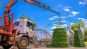 CDE inicia cuenta regresiva para el encendido de Navidad del Este 2025