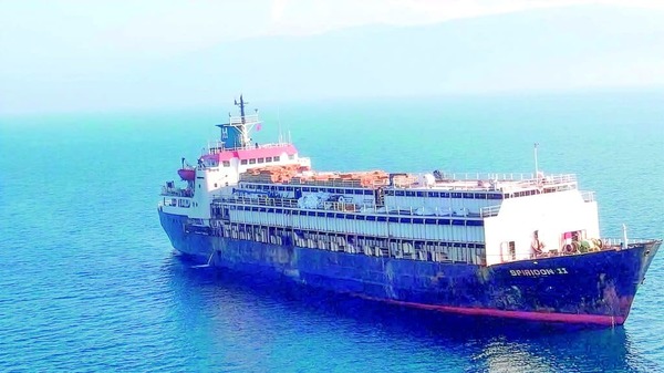 Calvario de 3.000 Vacas: Rechazo en Turquía y Libia