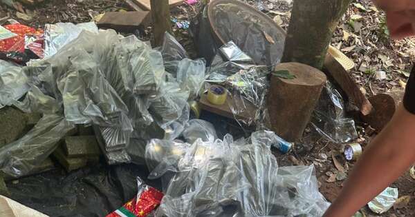 La Nación / San Pedro: hallan centro clandestino de marihuana en plena comunidad indígena