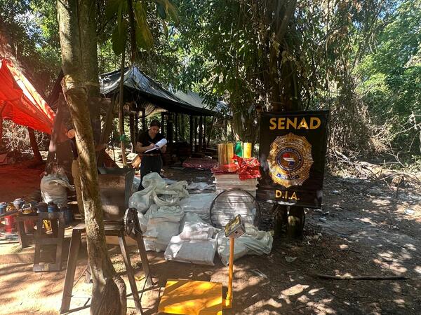 Popular / _Hallan marihuana ty en comunidad indígena