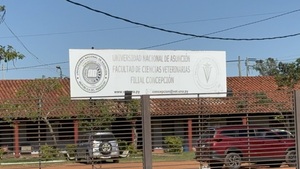 Aumentan los casos de leishmaniasis en Concepción - Concepción al Día