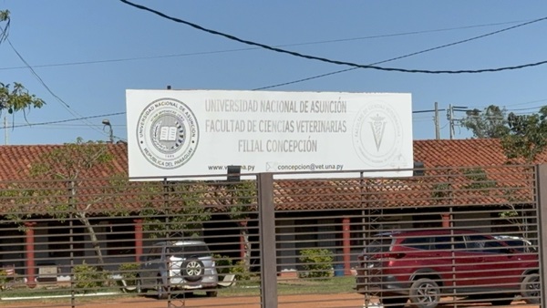 Aumentan los casos de leishmaniasis en Concepción - Concepción al Día