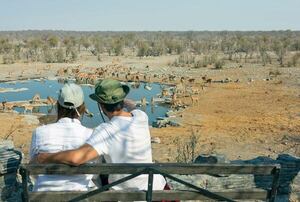 Cómo disfrutar de un safari exclusivo en el singular paisaje del Parque Etosha en Namibia - Viajes - ABC Color