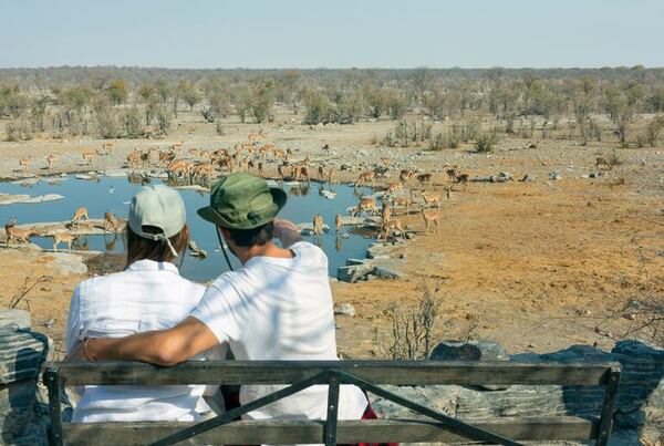 Cómo disfrutar de un safari exclusivo en el singular paisaje del Parque Etosha en Namibia - Viajes - ABC Color