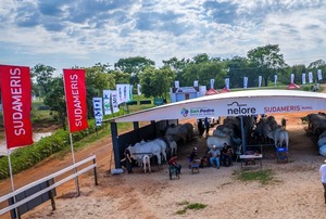 Sudameris, auspiciante del sector ganadero en la expo san pedro 2025