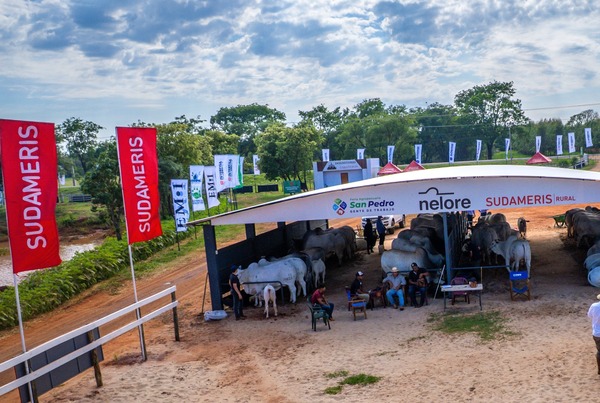 Sudameris, auspiciante del sector ganadero en la expo san pedro 2025
