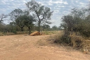 Corte destraba causa por desmonte de 2.900 hectáreas en el Chaco