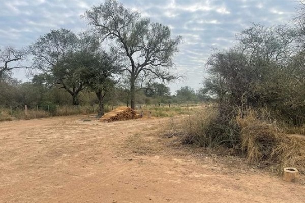 Corte destraba causa por desmonte de 2.900 hectáreas en el Chaco
