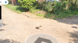 Los hallazgos más curiosos en Google Street View desde su llegada a Paraguay