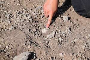 Estudio revela que ‘Lucy’ y Australopithecus deyiremeda coexistieron en Etiopía - Ciencia - ABC Color