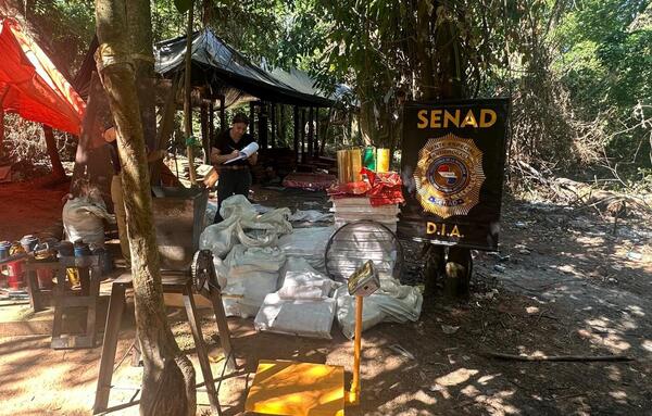 Desmantelan puesto clandestino de marihuana que funcionaba en comunidad indígena de San Pedro