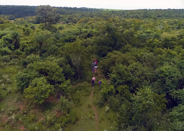 Incautación de 800 kilos de marihuana en Kambá Rembé