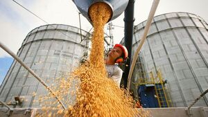 Molienda de soja local marca su mejor desempeño industrial de la década: 2,95 millones de toneladas