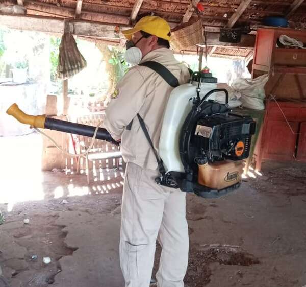 Guairá: Senepa refuerza bloqueos y mingas por aumento de casos sospechosos de dengue - Nacionales - ABC Color
