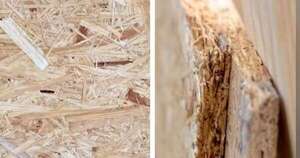 La Nación / Tableros de fibra van para Estados Unidos