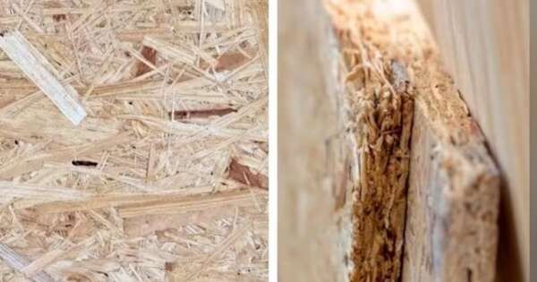 La Nación / Tableros de fibra van para Estados Unidos