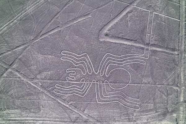 IA Descifra Enigma: 303 Nuevos Geoglifos de Nazca
