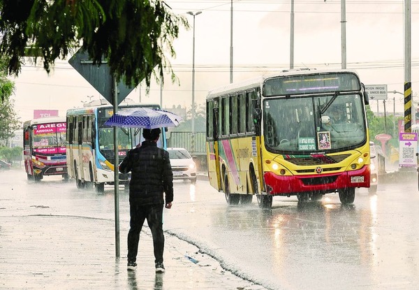 Transporte Público en Caída: Crisis y Silencios