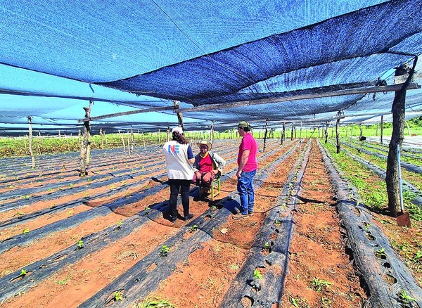 Encuesta Piloto Mide Pérdidas de Alimentos en Paraguay