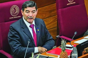 Honor Colorado Registra 3 Bajas en Bancada de Senado