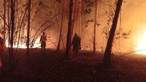 Bomberos controlan tres incendios provocados en Villeta y la Costanera Sur de Asunción