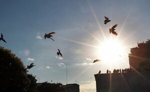 Anuncian jueves caluroso y con probabilidad de chaparrones