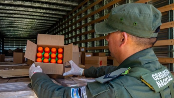 Interceptan camión paraguayo que llevaba 338 kilos de marihuana entre repelentes en Argentina