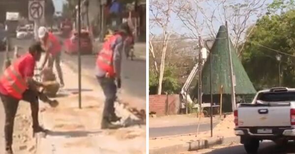 Denuncian tala masiva de tajy en Villa Elisa - SNT